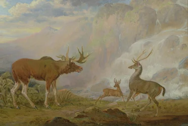 Eland, antilope en hert van de graaf van Orford